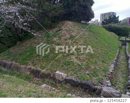 湯築城　遮蔽土塁 125458227