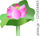 清らかな天上の花、蓮の花 125458463