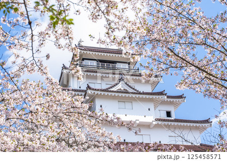 満開の桜と鶴ヶ城（若松城）　福島県会津若松市 125458571
