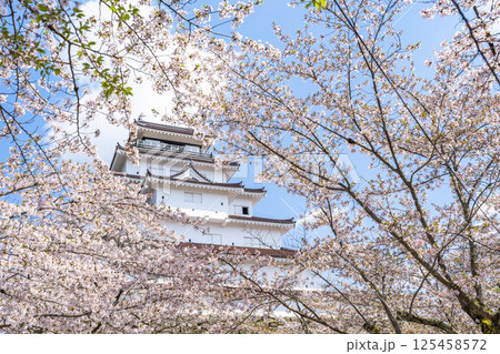 満開の桜と鶴ヶ城（若松城）　福島県会津若松市 125458572