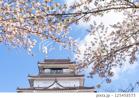 満開の桜と鶴ヶ城（若松城）　福島県会津若松市 125458573