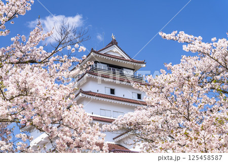満開の桜と鶴ヶ城（若松城）　福島県会津若松市 125458587