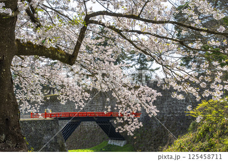 満開の桜と鶴ヶ城（会津若松城）の廊下橋　福島県会津若松市 125458711
