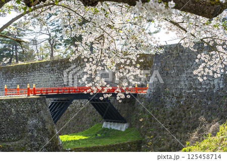 満開の桜と鶴ヶ城（会津若松城）の廊下橋　福島県会津若松市 125458714