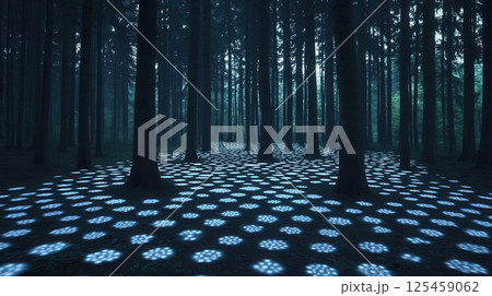 A forest with a blue light shining on the ground 125459062