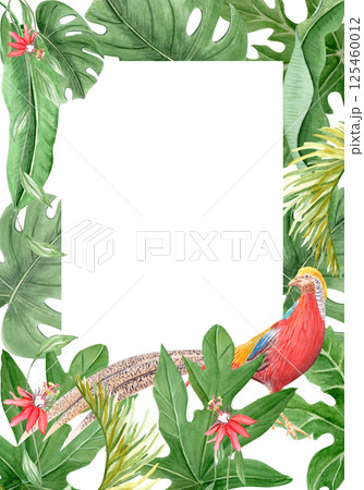 Golden pheasant standing among papaya leaves vertical watercolor frame on white background. Hand drawn illustration, rainforest nature isolated clip art, sketch style. Exotic paradise bird plants card 125460012