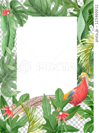 Golden pheasant standing among papaya leaves vertical watercolor frame on white background. Hand drawn illustration, rainforest nature isolated clip art, sketch style. Exotic paradise bird plants card Golden pheasant standing among papaya leaves vertical watercolor frame on white background. Hand drawn illustration, rainforest nature isolated clip art, sketch style. Exotic paradise bird plants card 125460012