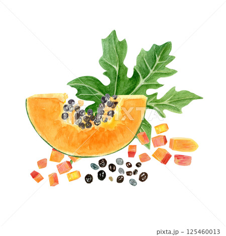 Papaya slice, cubes with seeds and leaves watercolor illustration isolated on white. The hand-painted tropical fruit clip art is perfect for culinary designs, labels, prints, cards, packages menu 125460013