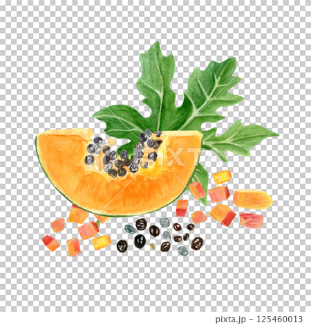 Papaya slice, cubes with seeds and leaves watercolor illustration isolated on white. The hand-painted tropical fruit clip art is perfect for culinary designs, labels, prints, cards, packages menu 125460013