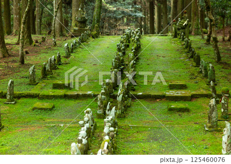 西伊豆・松崎町の富貴山宝蔵院 西伊豆・松崎町の富貴山宝蔵院 125460076