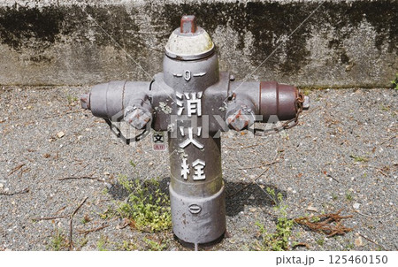 鼠色の消火栓が人間のよう 125460150