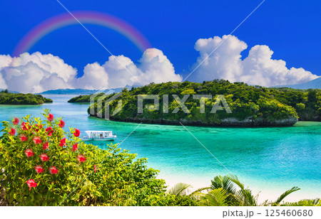 川平湾の美しいサンゴ礁の海 125460680