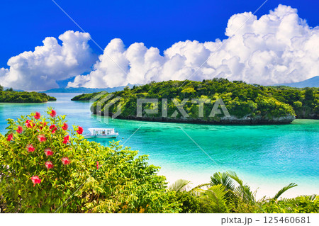 川平湾の美しいサンゴ礁の海 125460681