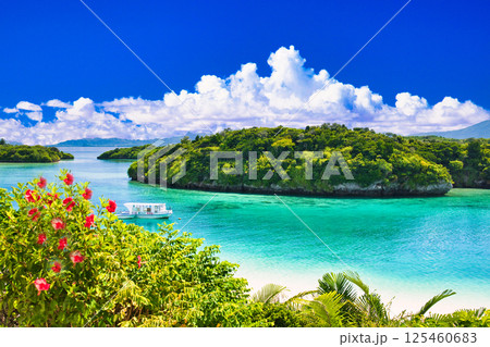 川平湾の美しいサンゴ礁の海 川平湾の美しいサンゴ礁の海 125460683