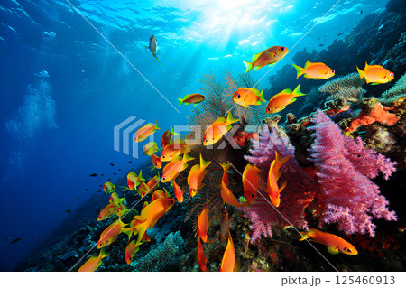 A vibrant underwater scene in a tropical coral reef, featuring a school of bright orange and yellow tropical fish swimming gracefully among colorful corals. The corals are a mix of vivid pink, purple, 125460913