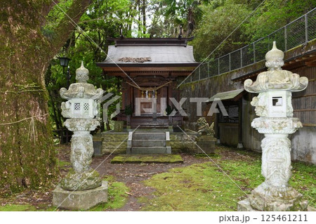 【小国町　日本一の鯉のぼりの里「杖立温泉」杖立皇大神宮本殿】 125461211