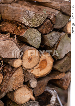 Rural life. Firewood from deciduous trees prepared for winter 125461380
