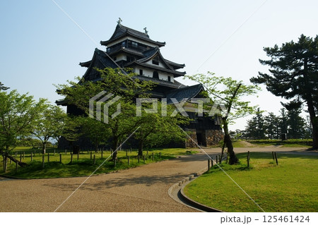 晴れた日の新緑がきれいな島根県松江市の国宝松江城 晴れた日の新緑がきれいな島根県松江市の国宝松江城 125461424