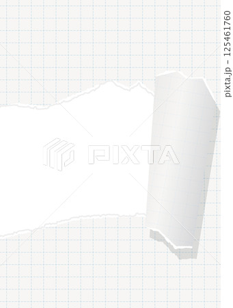 破れた方眼用紙の背景フレーム、グリッド、ノート、縦向き 破れた方眼用紙の背景フレーム、グリッド、ノート、縦向き 125461760