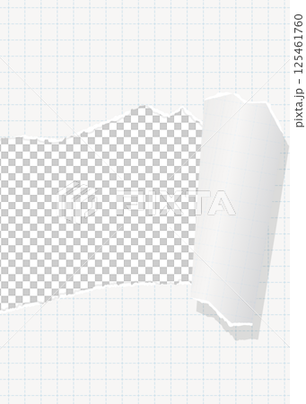 破れた方眼用紙の背景フレーム、グリッド、ノート、縦向き 破れた方眼用紙の背景フレーム、グリッド、ノート、縦向き 125461760