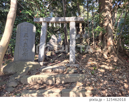 春日部八幡神社の境内【埼玉県春日部市】 春日部八幡神社の境内【埼玉県春日部市】 125462018
