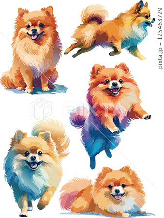 ポメラニアンの水彩画イラストセット 125463729