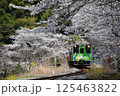 清流新岩国駅よりさくら並木と「こもれび号」をロックオン 125463822