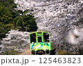 錦川清流線のさくら並木と「こもれび号」 125463823
