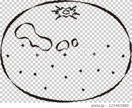 ミカン(線画) 125463980
