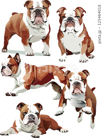 ブルドッグの水彩画イラストセット 125464018