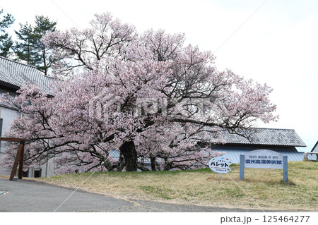 信州高遠美術館（長野県 高遠町） 125464277