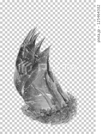 白色背景、透明背景上用水彩以水墨畫風格 [手繪] 繪製的竹筍單色插圖 125464382