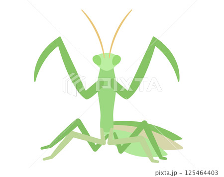 虫_ナチュラルフラット_カマキリ 虫_ナチュラルフラット_カマキリ 125464403