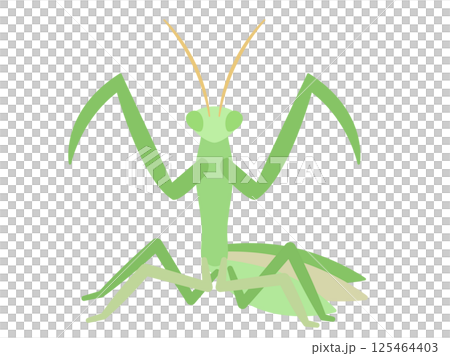 虫_ナチュラルフラット_カマキリ 虫_ナチュラルフラット_カマキリ 125464403
