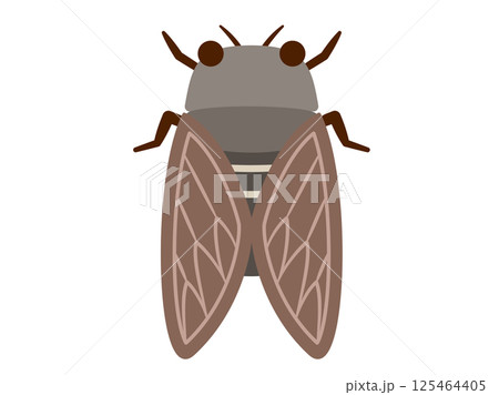 虫_ナチュラルフラット_セミ 虫_ナチュラルフラット_セミ 125464405