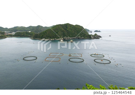 【南さつま市 坊津のリアス海岸に突き出す展望台「丸木崎展望所」より南方を望む】 【南さつま市 坊津のリアス海岸に突き出す展望台「丸木崎展望所」より南方を望む】 125464548