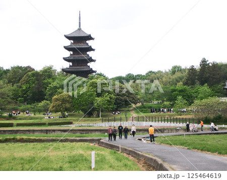 岡山県の備中国分寺跡(日照山国分寺)五重塔 岡山県の備中国分寺跡(日照山国分寺)五重塔 125464619