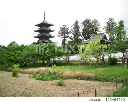 岡山県の備中国分寺跡（日照山国分寺）五重塔 125464620