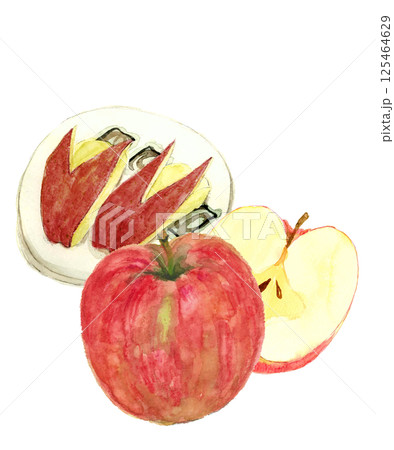 水彩で描いたりんごと皿に盛ったりんごうさぎ【手描き】白バック 透過背景 125464629