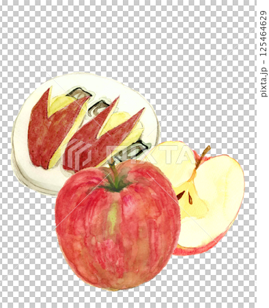 水彩で描いたりんごと皿に盛ったりんごうさぎ【手描き】白バック 透過背景 125464629
