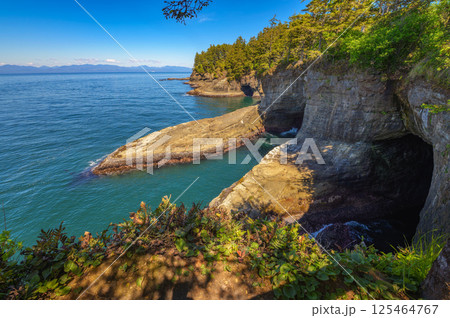 Coastal cliffs and rocky shoreline at Cape Flattery, Washington State Coastal cliffs and rocky shoreline at Cape Flattery, Washington State 125464767