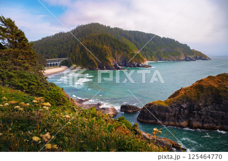 Coastal view of the Oregon Coast Highway bridge near Heceta Head Lighthouse 125464770