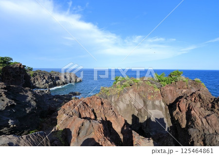 静岡県・伊東市・城ケ崎海岸 125464861