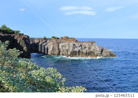 静岡県・伊東市・城ケ崎海岸 静岡県・伊東市・城ケ崎海岸 125465511