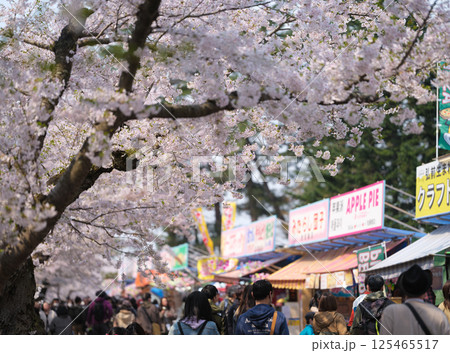大勢の人で賑わう弘前さくら祭りの風景 2025 125465517