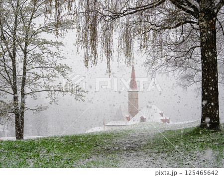Gatchina Priory Palace in spring. 125465642