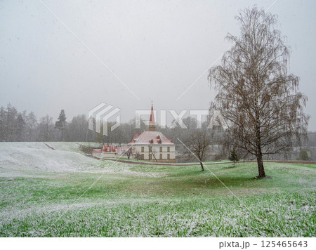 Gatchina Park and Priory Palace in spring 125465643