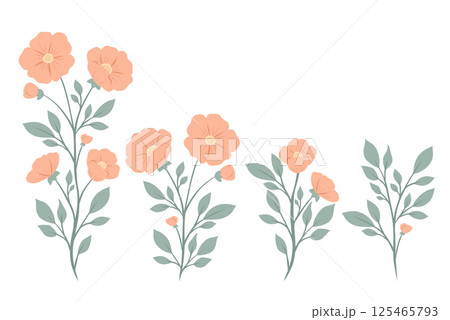 Vector set of gentle flowers. Collection of feminine wild flowers clip arts in pastel colors. Blooming floral arrangement 125465793