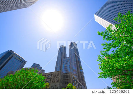 【東京都】5月・ゴールデンウイークに青空の新宿駅周辺を観光する 125466261