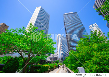 【東京都】5月・ゴールデンウイークに青空の新宿駅周辺を観光する 125466264